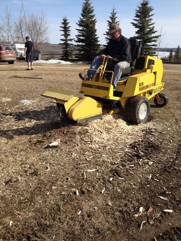 Norm Schmidt operating a yellow ride-on stump grinder, wood chips flying across a rural Alberta yard