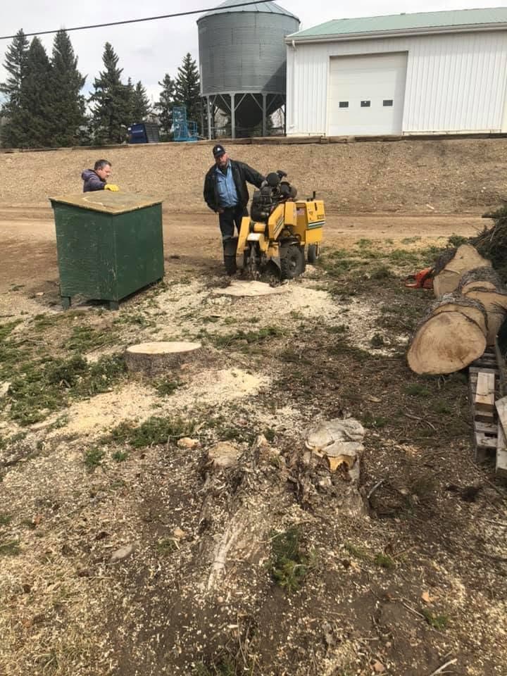 Norm and a helper with the stump grinder at a farm property with a grain bin in the background